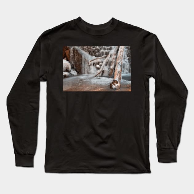 Frozen Avalon Falls Long Sleeve T-Shirt by somadjinn